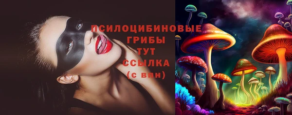 стафф Бородино