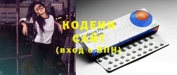 стафф Бородино