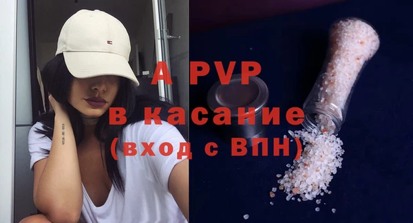 стафф Бородино