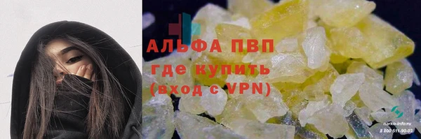 стафф Бородино