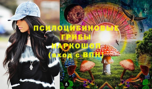 шишки Верхнеуральск
