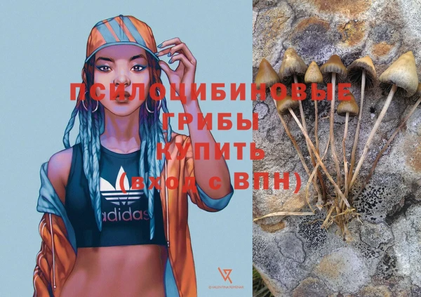 круглые Бронницы