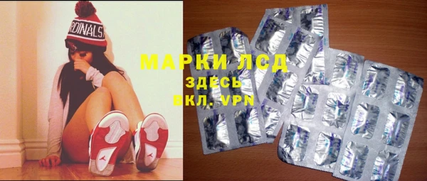 стафф Бородино