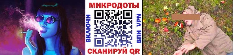 kraken зеркало  Колпашево  Псилоцибиновые грибы ЛСД 